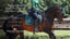 The Saddlery Store Introduces Premier Equine: A Synthesis of Innovation and Excellence