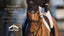 The Saddlery Store Welcomes Veredus: Protection and Performance for the Elite Equestrian