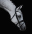 Lumiere Abigail Convertible Leather Bridle