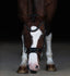 Lumiere Arcadia Hanoverian Luxury Leather Bridle