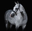 Lumiere Abigail Convertible Leather Bridle