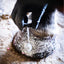 Armor Equestrian Gallop Glitter Hoof Polish
