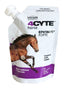 4Cyte Epiitalis Forte Equine Gel 250ml - Veterinary Equine Joint Health