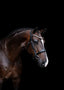 Lumiere Athens Leather Snaffle Bridle