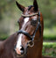 Lumiere Athens Leather Snaffle Bridle