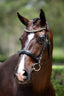 Lumiere Athens Leather Snaffle Bridle