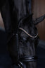 Lumiere Ariana Caveson Bridle