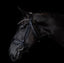 Lumiere Ariana Caveson Bridle