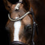 Lumiere Athens Leather Snaffle Bridle