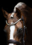 Lumiere Athens Leather Snaffle Bridle
