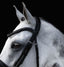 Lumiere Arcadia Hanoverian Luxury Leather Bridle