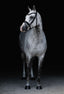 Lumiere Arcadia Hanoverian Luxury Leather Bridle