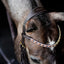 Lumiere Amber Euro Version Anatomic Leather Bridle