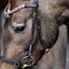 Lumiere Amber Euro Version Anatomic Leather Bridle