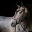 Lumiere Amber Euro Version Anatomic Leather Bridle
