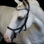 Lumiere Amber Euro Version Anatomic Leather Bridle