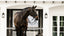 Lumiere Ariana Double Bridle