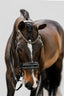 Lumiere Ariana Double Bridle