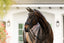 Lumiere Ariana Double Bridle