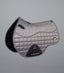 Premier Equine Armada Close Contact GP/Jump Square