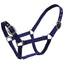 Blue Tag Web Halter - Equine Horse Wear