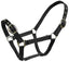 Blue Tag Web Halter - Equine Horse Wear