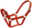 Blue Tag Web Halter - Equine Horse Wear