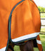 Premier Equine Buster Storm 400g Combo Turnout Rug with Classic Neck