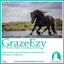 Calm Healthy Horses GrazeEzy10kg - Equine Nutritional & Performance Supplements