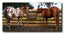 Calm Healthy Horses Hay Saver Small - Equine Stable Equipment