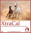 Calm Healthy Horses XtraCal 4kg - Equine Nutritional & Performance Supplements
