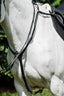 Cavallino Martingale 3 Point Breastplate - Equine Horse Wear