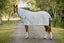 Cavallino Summer Sheet Combo - Equine Horse Wear