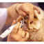 Clipper Aesculap Exacta Cordless - Equine Grooming
