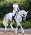 Premier Equine Alberta CC Satin Dressage Square