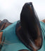 Premier Equine Comfort Tech Lycra Fly Mask
