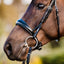 Lumiere Aurelie Rolled Leather Cavesson Bridle