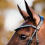 Lumiere Aurelie Rolled Leather Cavesson Bridle