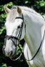Flair Fly Mesh Nose Guard - Equine Horse Wear