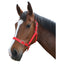 Flair Nylon Halter - Equine Horse Wear
