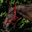 Flair PVC Harness Web Halter - Equine Horse Wear