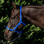 Flair PVC Harness Web Halter - Equine Horse Wear
