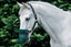 Flair Sola Shade Nose Guard Cob - Equine Horse Wear