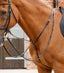 Premier Equine Gressan Standing Martingale - Equine Horse Wear