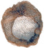 Heavy Duty Hairnets - Equestrian Accessories