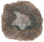 Heavy Duty Hairnets - Equestrian Accessories
