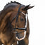 Lumiere Amie Rolled Leather Bridle