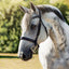Lumiere Milan Convertible Leather Bridle