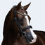 Lumi Pony Athens Leather Bridle - Equine Horse Wear