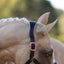 Lumi Pony Hollywood Leather Halter - Equine Horse Wear